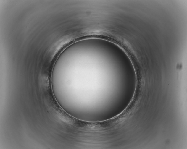X0000089341218200706221110