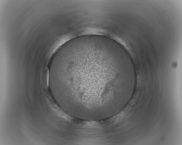 X0000089341219200706221110