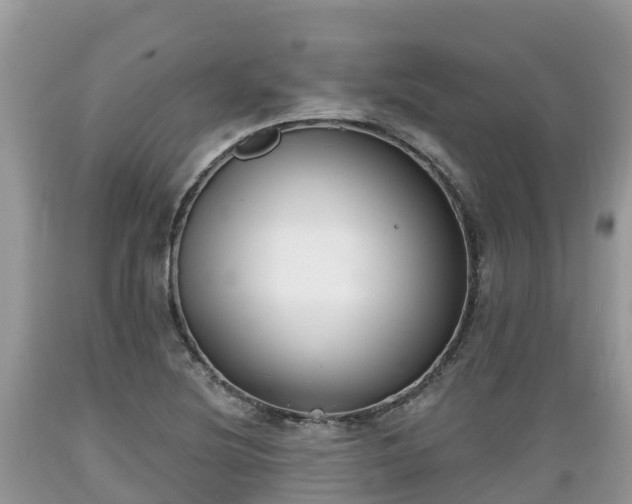 X0000089341220200706221110