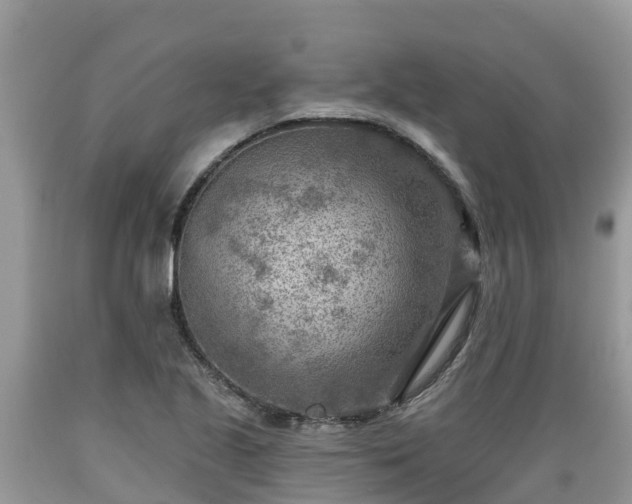 X0000089341221200706221110