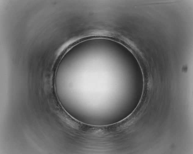 X0000089341222200706221110