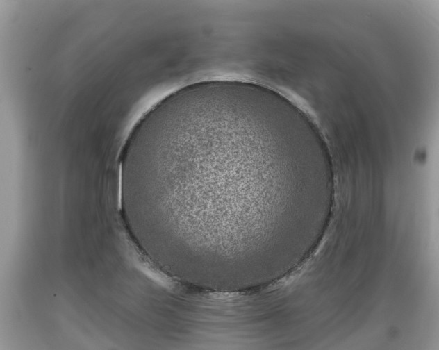 X0000089341223200706221110