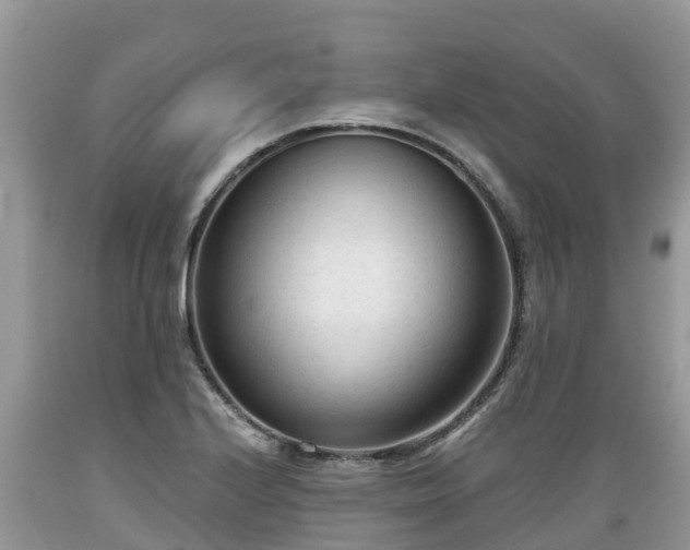X0000089341224200706221110