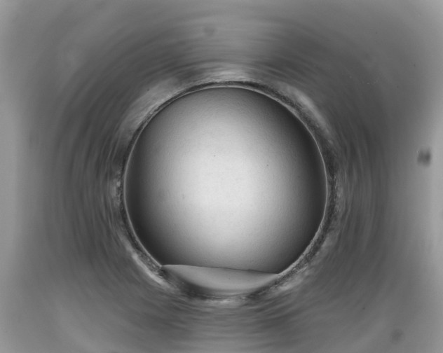 X0000089341225200706221110