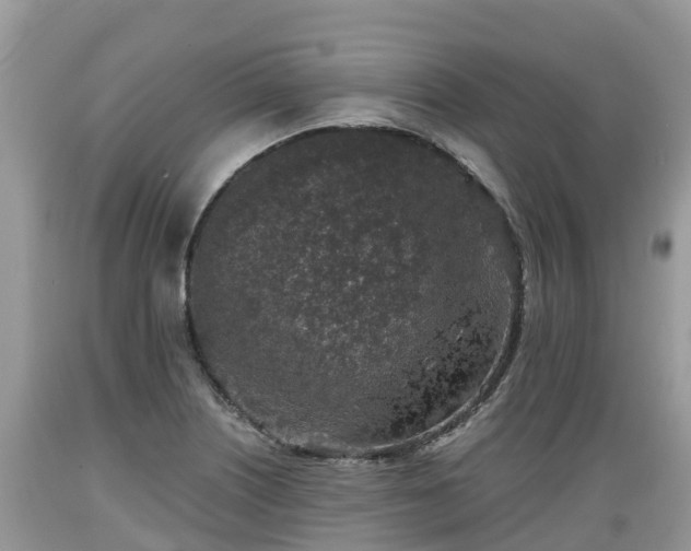 X0000089341226200706221110
