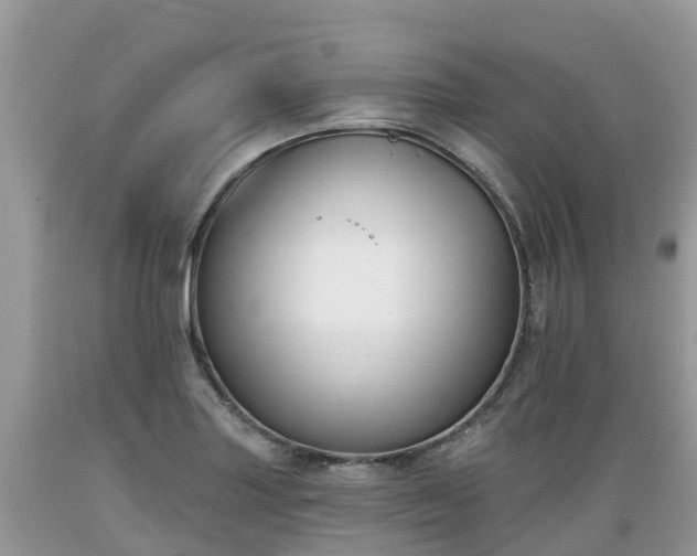 X0000089341227200706221110