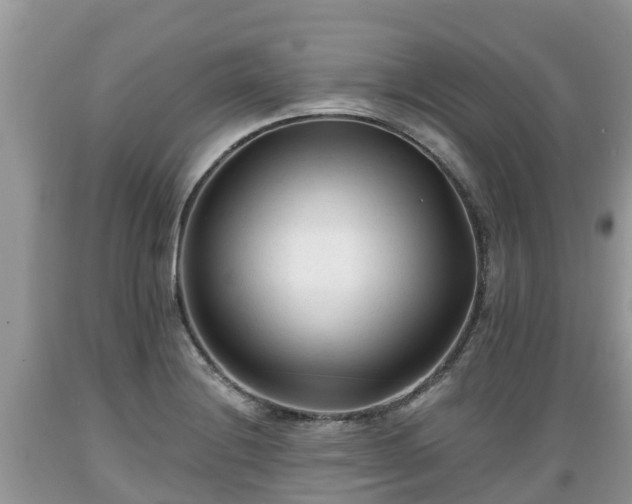 X0000089341228200706221110