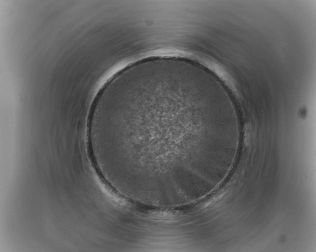 X0000089341229200706221110