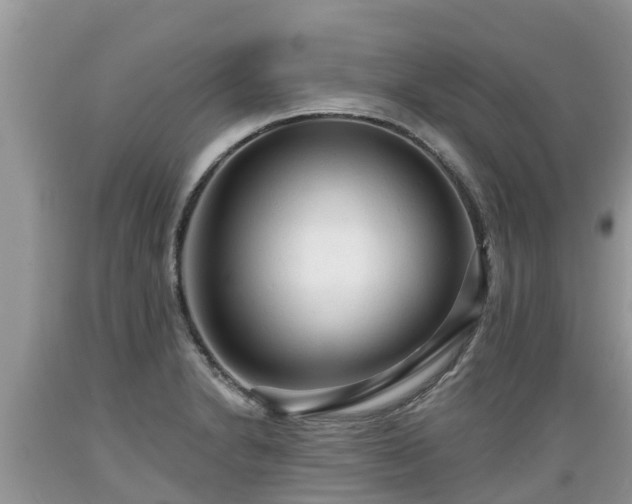 X0000089341230200706221110