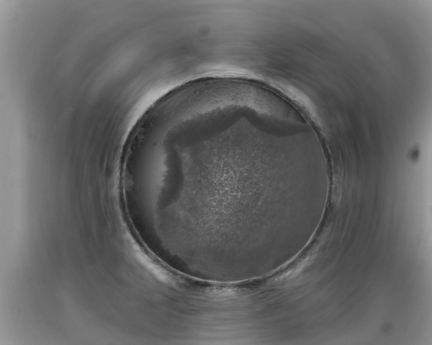X0000089341231200706221110