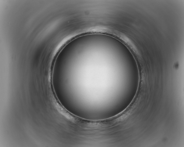 X0000089341232200706221110