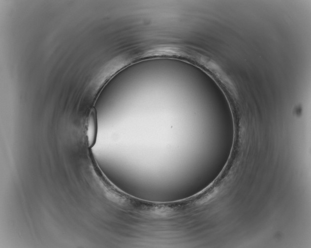 X0000089341233200706221110