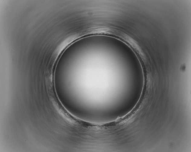 X0000089341234200706221110