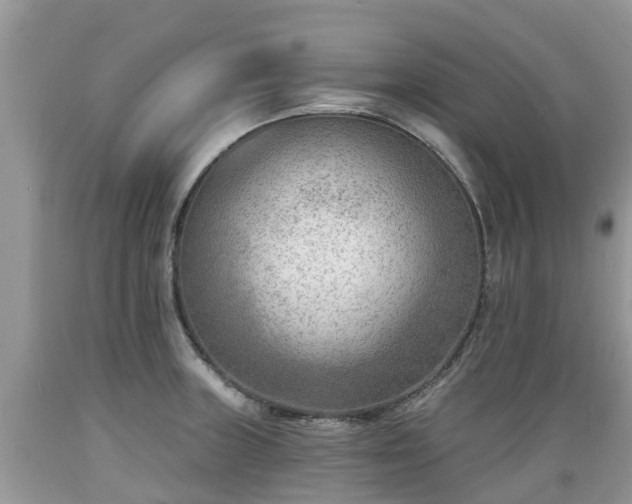 X0000089341235200706221110