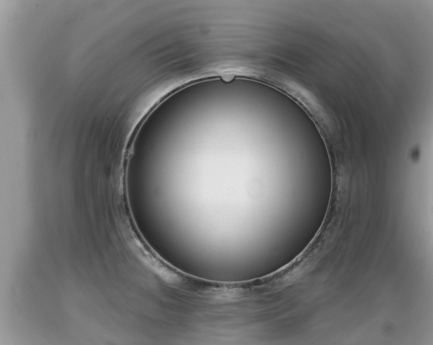 X0000089341236200706221110