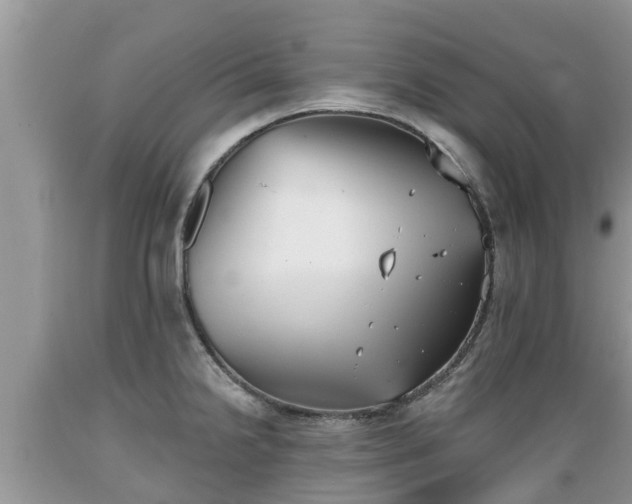 X0000089341238200706221111