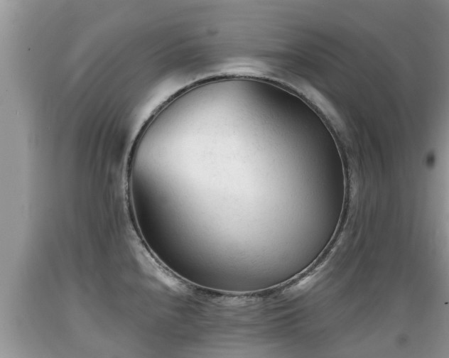X0000089341240200706221111
