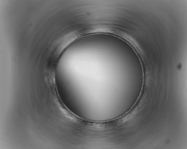 X0000089341241200706221111