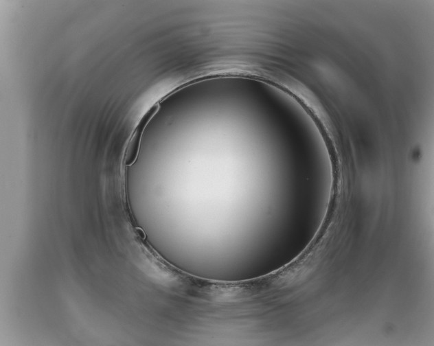 X0000089341242200706221111