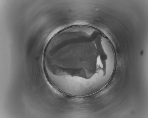 X0000089341245200706221111