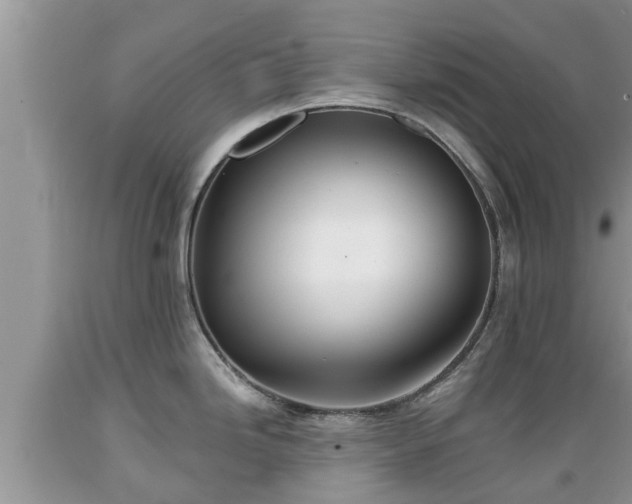 X0000089341246200706221111