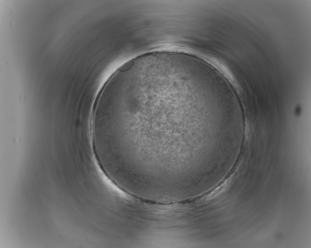 X0000089341247200706221111
