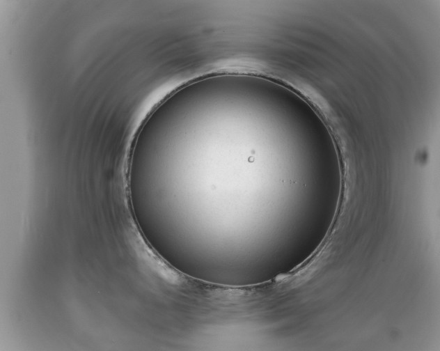 X0000089341248200706221111