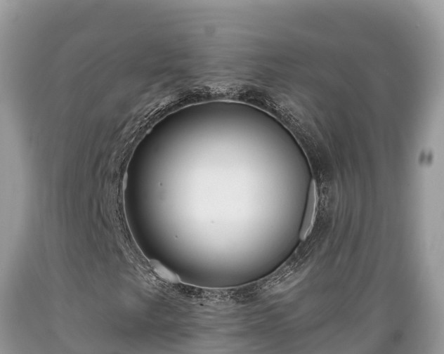 X0000089341249200706221110
