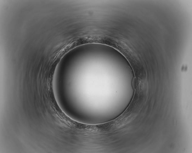 X0000089341250200706221110