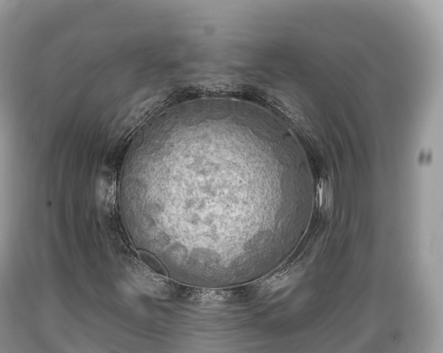 X0000089341251200706221110