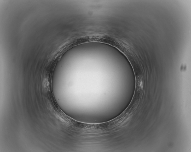 X0000089341252200706221110