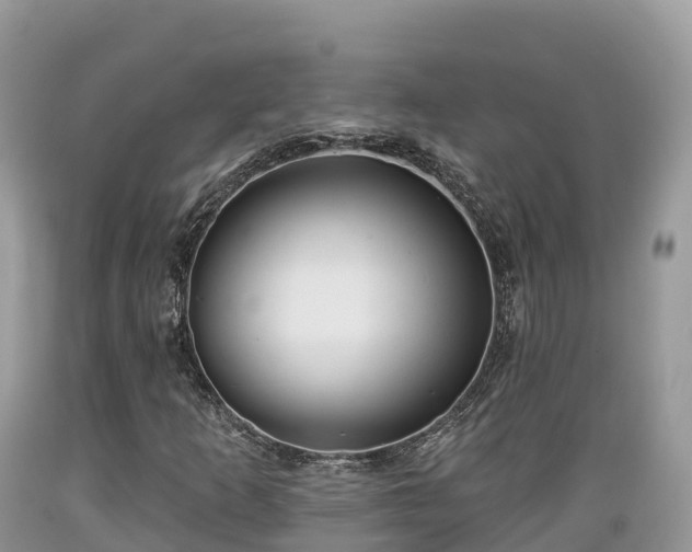 X0000089341253200706221110