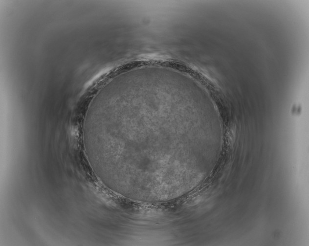 X0000089341254200706221110