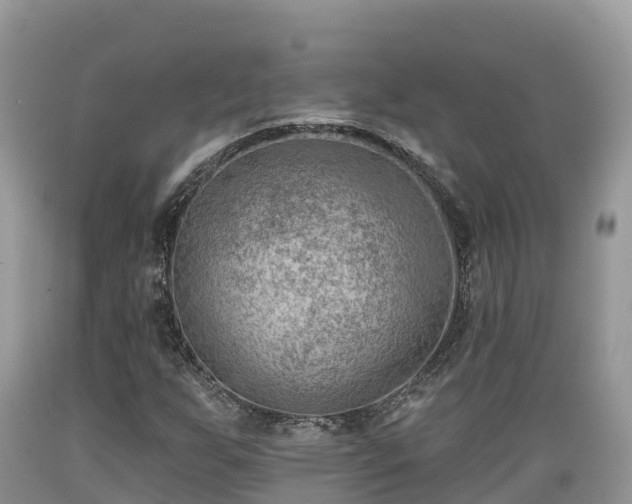 X0000089341255200706221110