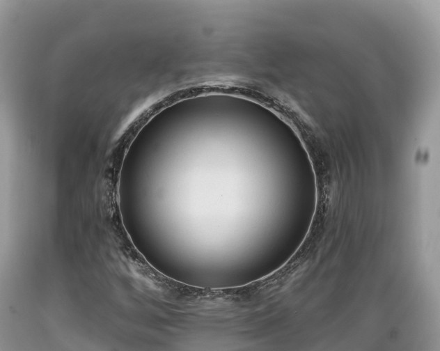X0000089341256200706221110