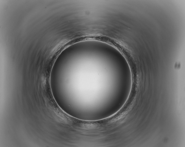 X0000089341257200706221110