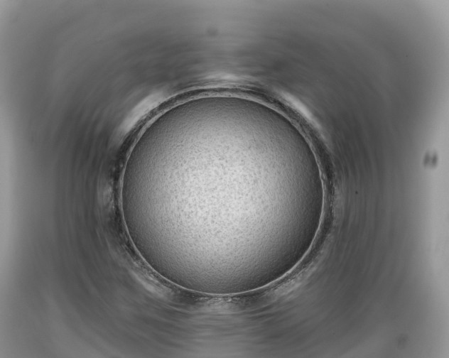 X0000089341259200706221110