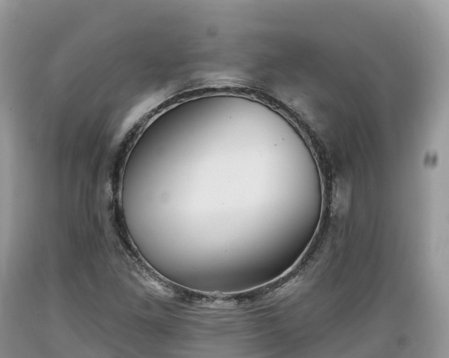 X0000089341261200706221110