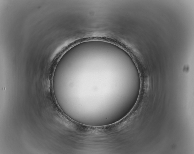 X0000089341262200706221110