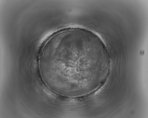 X0000089341263200706221110
