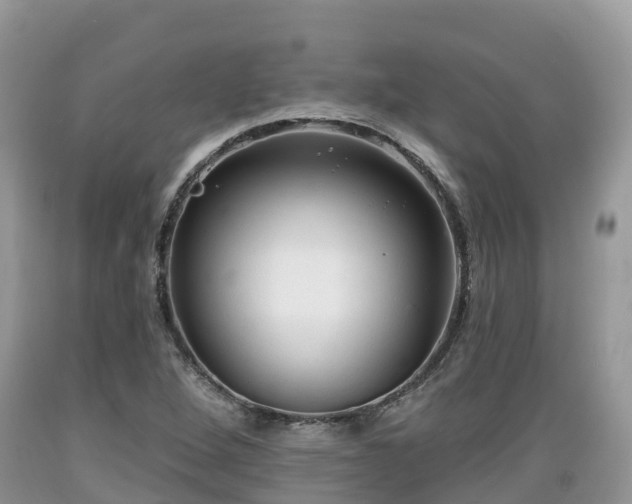 X0000089341264200706221110