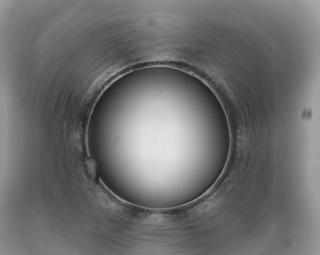 X0000089341265200706221110
