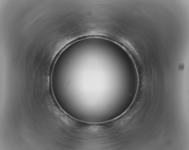 X0000089341268200706221110