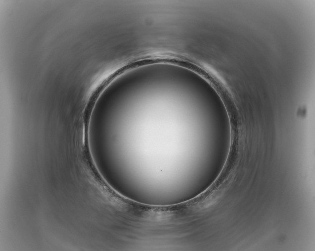 X0000089341269200706221110