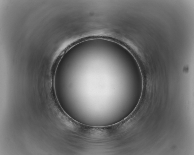 X0000089341270200706221110