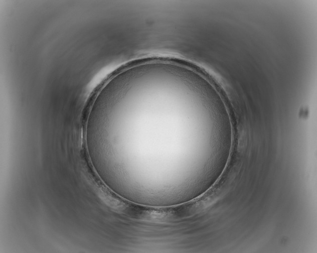 X0000089341271200706221110