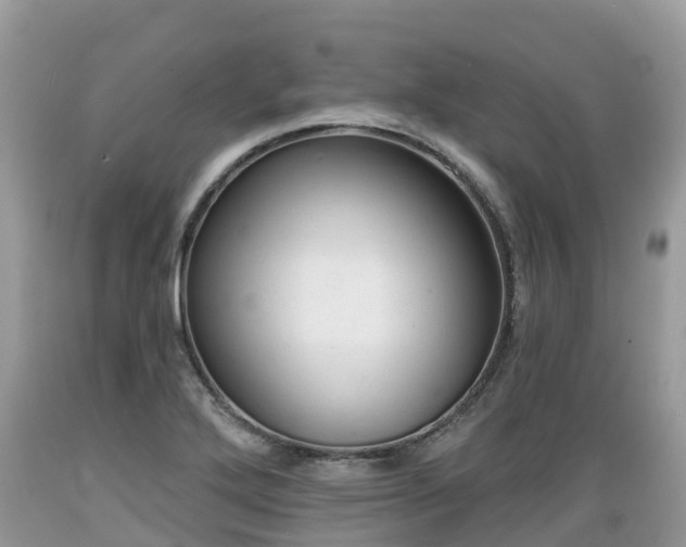 X0000089341272200706221110