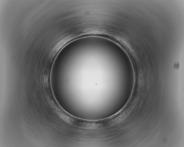 X0000089341273200706221110