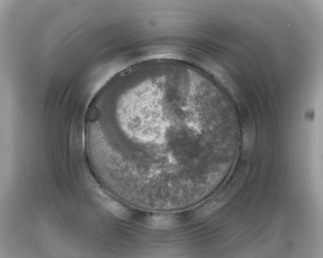 X0000089341274200706221110