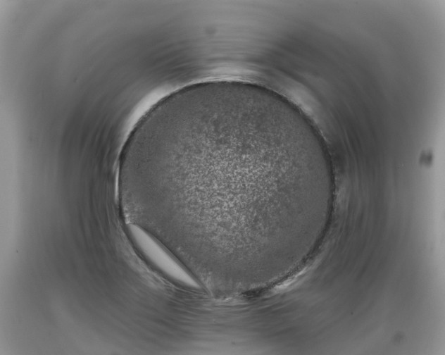 X0000089341275200706221110